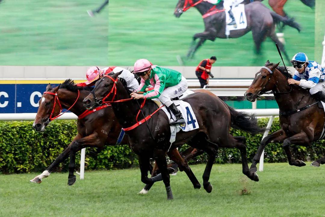 与海外接轨？香港马会突然提出用鞭限制